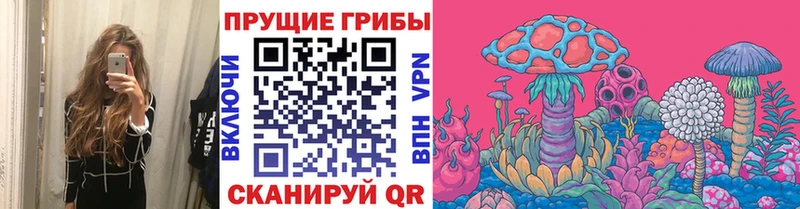 Псилоцибиновые грибы мицелий  KRAKEN ТОР  Гусь-Хрустальный 