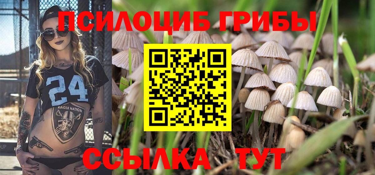 Галлюциногенные грибы мухоморы Гусь-Хрустальный