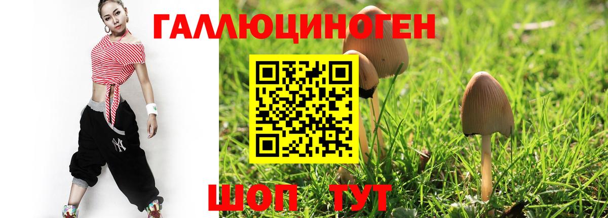 Галлюциногенные грибы Psilocybe  Галлюциногенные грибы Psilocybine cubensis  Гусь-Хрустальный  Вход с VPN 